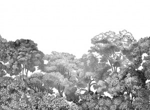 Fototapet premium, model 3d, pădure mistică în alb și negru Bellewood, Black Toile, Pastel, dimensiuni pe comanda