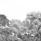 Fototapet premium, model 3d, pădure mistică în alb și negru Bellewood, Black Toile, Pastel, dimensiuni pe comanda