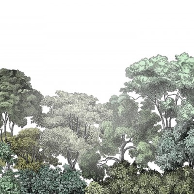 Fototapet premium, model 3d, copaci seculari, dimensiuni pe comanda Rebel Walls