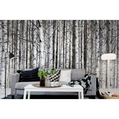 Fototapet premium, model 3d, ramurile închise la culoare Birch Trunks, dimensiuni pe comanda Rebel Walls