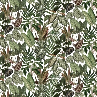 Fototapet premium, model 3d, maimuțele năstrușnice Mischievous Monkeys, Pastel, dimensiuni pe comanda Rebel Walls