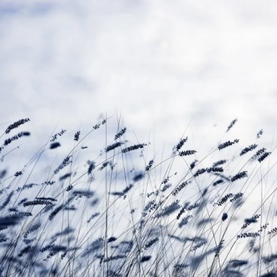 Fototapet premium, model 3d, Scandinavian Light, dimensiuni pe comanda Rebel Walls