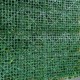 GreenWall Meadow 6008 perete verde artificial 1x1m