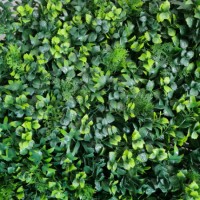 GW 6008 GreenWall Leaves-perete verde artificial 1x1m