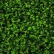 GW 6013 GreenWall Clover Mix-perete verde artificial 1x1m GW 6013 GreenWall Clover Mix-perete verde artificial 1x1m