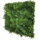 GW 6133 GreenWall Tropical Fern-perete verde artificial 1x1m