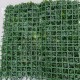 GW 6137 GreenWall Tropical Dream-perete verde artificial 1x1m