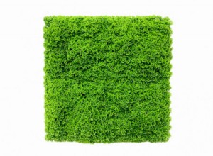 GW 7002 GreenWall Stone Moss-perete verde artificial 1x1m