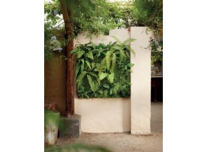 Perete verde artificial Living Wall 1x1m