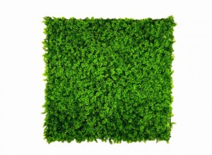 VV 7001 GreenWall Forest Moss-perete verde artificial 1x1m