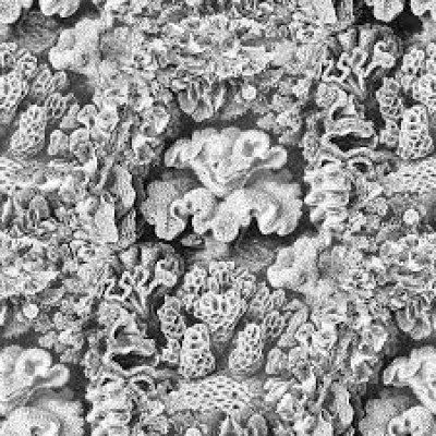 Tapet Rebelwalls Oddity, Aquila, Cloud Rebel Walls