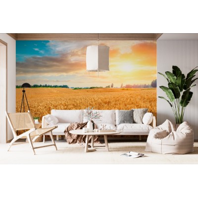 Fototapet fara imbinari Wheat Crop Field Sunset Landscape Premier Decor
