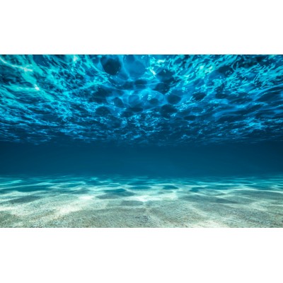Fototapet fara imbinari Conquered The Underwater World Premier Decor