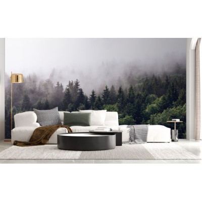 Fototapet fara imbinari Dense Coniferous Forest Premier Decor