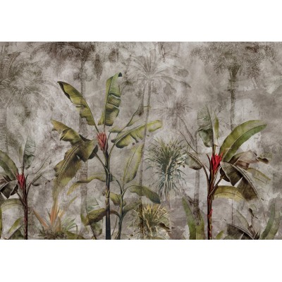 Fototapet fara imbinari Jungle In Dark Fog Premier Decor