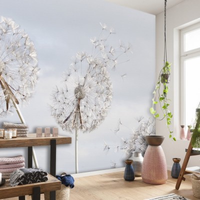 Fototapet Fara Imbinari Dandelion Fantasy Premier Decor