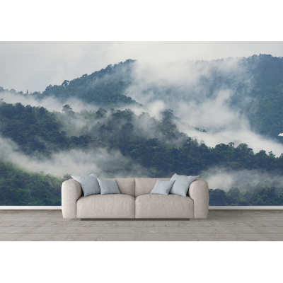Fototapet fara imbinari peisaj munte ceata padure brazi Premier Decor