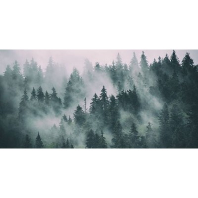 Fototapet fara imbinari Mountain Mist Premier Decor
