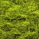 Muschi artificial decorativ verde 100x100 cm
