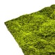 Muschi artificial decorativ verde 100x100 cm