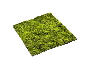 Muschi artificial decorativ verde 100x100 cm