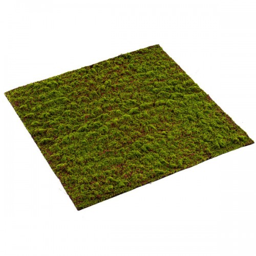 Muschi artificial decorativ Grimmia 100x100 cm
