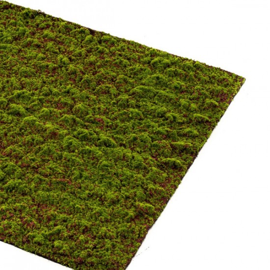 Muschi artificial decorativ Grimmia 100x100 cm