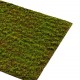 Muschi artificial decorativ Grimmia 100x100 cm