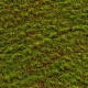 Muschi artificial decorativ Grimmia 100x100 cm