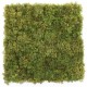 Muschi artificial decorativ islandez 50x50 cm
