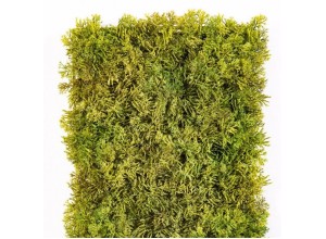Muschi artificial decorativ mix verde 25x50 cm