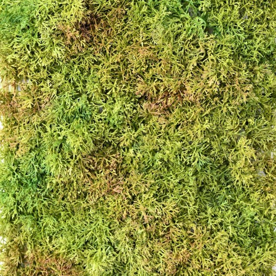 Muschi decorativ artificial 50×25 cm Verde 26146-UV71