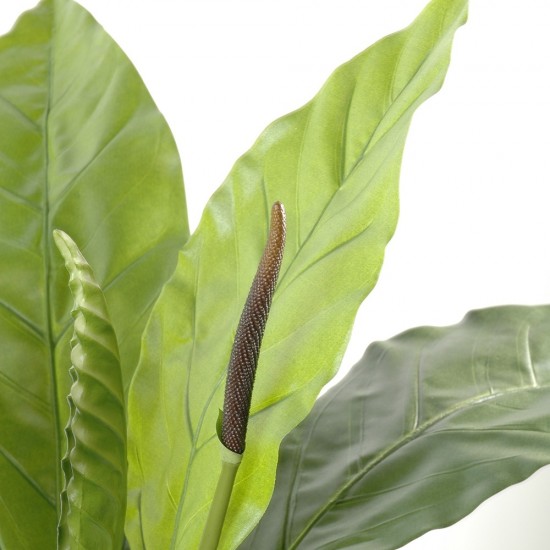 Anthurium artificial Jungle King, 130 cm, latime 100 cm, trunchi fibra de sticla Anthurium artificial Jungle King, 130 cm, latime 100 cm, trunchi fibra de sticla