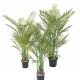 Arbore artificial Areca multiplu, 160 cm inaltime, 70 cm latime, verde Arbore artificial Areca multiplu, 160 cm inaltime, 70 cm latime, verde