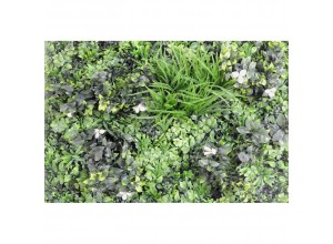 Perete  Verde Artificial GREEN-WHITE 100X100cm
