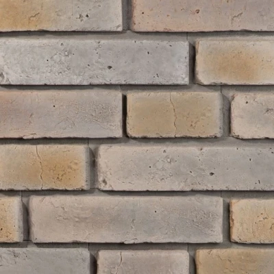 Placa imitatie de caramida Monsanto 2 bej Stegu