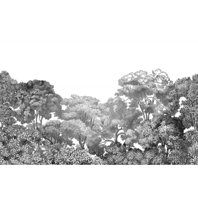 Fototapet premium, model 3d, pădure mistică în alb și negru Bellewood, Black Toile, Pastel, dimensiuni pe comanda Rebel Walls