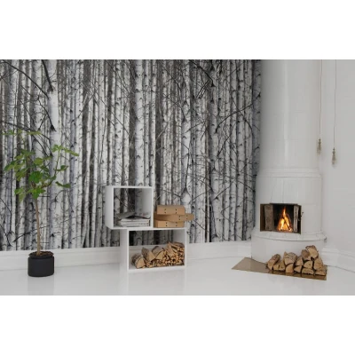 Fototapet premium, model 3d, ramurile închise la culoare Birch Trunks, dimensiuni pe comanda Rebel Walls