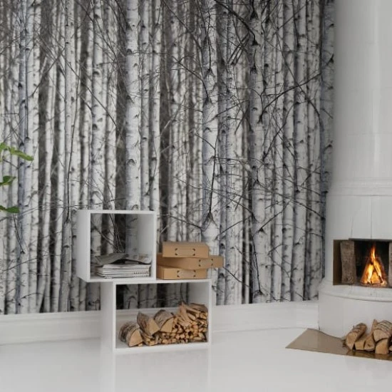 Fototapet premium, model 3d, ramurile închise la culoare Birch Trunks, dimensiuni pe comanda