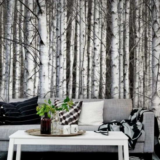 Fototapet premium, model 3d, ramurile închise la culoare Birch Trunks, dimensiuni pe comanda