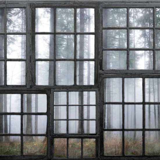 Fototapet premium, model 3d, pădurea Cabin, dimensiuni pe comanda