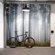 Fototapet premium, model 3d, pădurea misterioasă, Forest Glade, dimensiuni pe comanda