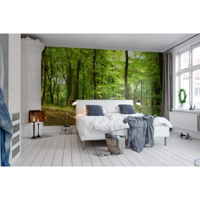 Fototapet premium, model 3d, O priveliște de neuitat Forest, dimensiuni pe comanda Rebel Walls