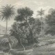 Fototapet premium, model 3d, o junglă exotică Jungle Land, Vintage, Pastel, dimensiuni pe comanda