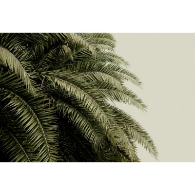 Fototapet premium, model 3d, oază de verdeață Leaf Love, Pastel, dimensiuni pe comanda Rebel Walls