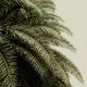 Fototapet premium, model 3d, oază de verdeață Leaf Love, Pastel, dimensiuni pe comanda