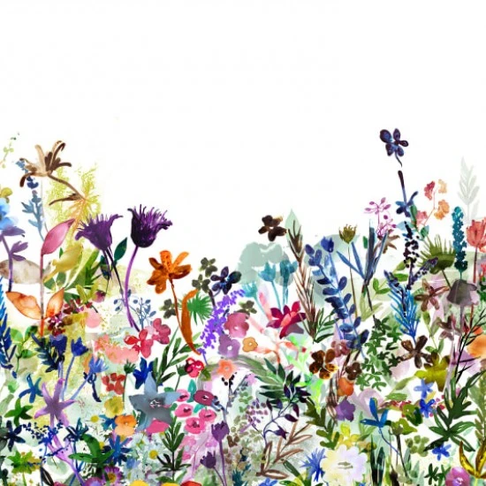Fototapet premium, model 3d,  acuarele cu flori sălbatice May Meadow, dimensiuni pe comanda