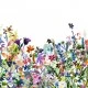 Fototapet premium, model 3d,  acuarele cu flori sălbatice May Meadow, dimensiuni pe comanda