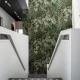 Fototapet premium, model 3d, o noapte în junglă Mischievous Monkeys, Lush, dimensiuni pe comanda