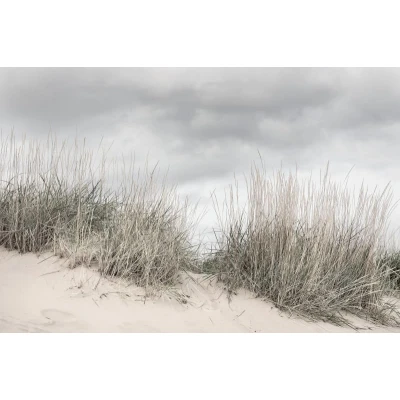Fototapet premium, model 3d, Paleta sofisticată de culori Pale Shore, Pastel, dimensiuni pe comanda Rebel Walls